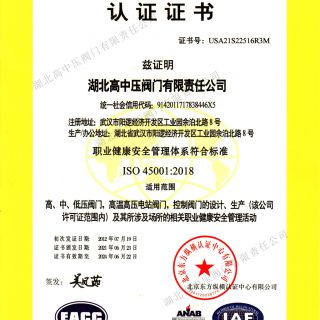 ISO45001職業健康安全管理體系證書（中文）