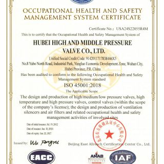 ISO45001職業健康安全管理體系證書（英文）